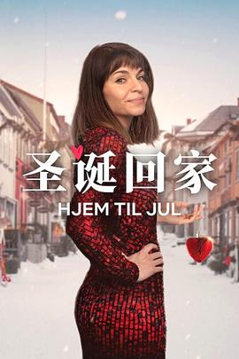圣诞寻伴 第三季封面图